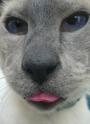 Photo copyright 2012 by Jenny Rollo